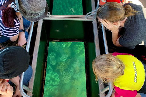 Airlie Beach Glass Bottom Boat Tour - Hervey Bay Accommodation 5