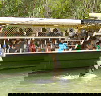 Hartley's Crocodile Adventure Half-Day Tour - Hervey Bay Accommodation