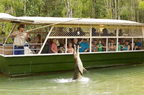 Hartley's Crocodile Adventure Half-Day Tour - Tourism Hervey Bay 0