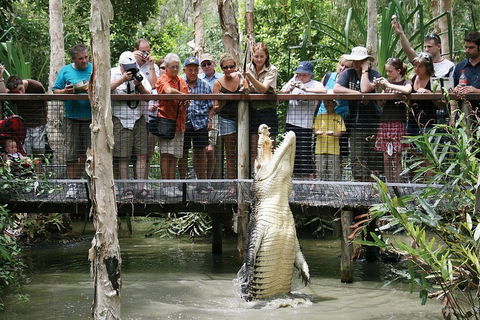 Hartley's Crocodile Adventure Half-Day Tour - Tourism Hervey Bay 1