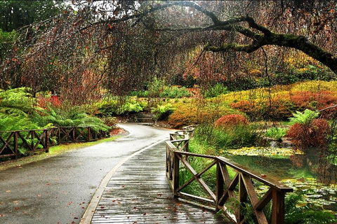 Discover Tour: Dandenong Ranges & William Ricketts Sanctuary - Hervey Bay Accommodation 3