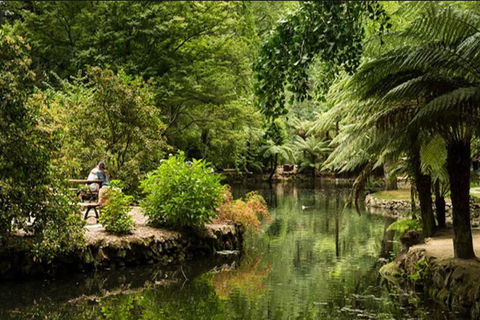 Discover Tour: Dandenong Ranges & William Ricketts Sanctuary - Hervey Bay Accommodation 4