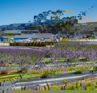 Private Hobart Discover South East Food and Scenic Tour - Tourism Hervey Bay