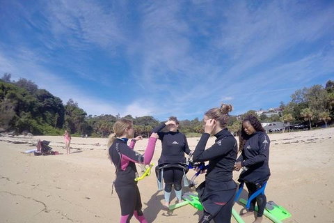 Manly And Shelly Beach Snorkeling Tour - Tourism Hervey Bay 5