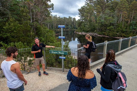 Tahune Airwalk Active Day Trip From Hobart Including Hastings Caves - Tourism Hervey Bay 1