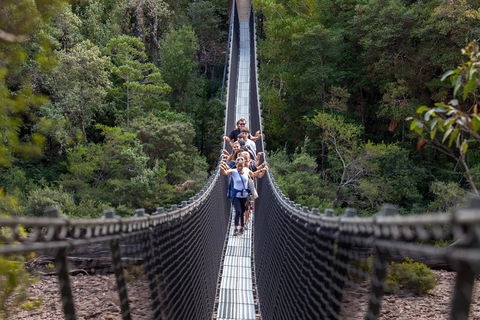 Tahune Airwalk Active Day Trip From Hobart Including Hastings Caves - Tourism Hervey Bay 3