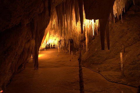 Tahune Airwalk Active Day Trip From Hobart Including Hastings Caves - Tourism Hervey Bay 4