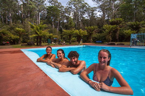 Tahune Airwalk Active Day Trip From Hobart Including Hastings Caves - Tourism Hervey Bay 5