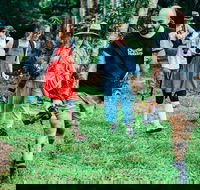 Let's Go Buggin  Let's Go Shroomin - Photography  Nature Walking Tours - Hervey Bay Accommodation