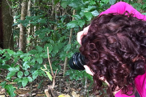 Let's Go Buggin & Let's Go Shroomin - Photography & Nature Walking Tours - Hervey Bay Accommodation 1