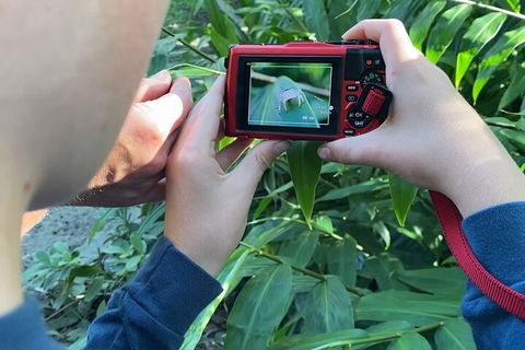 Let's Go Buggin & Let's Go Shroomin - Photography & Nature Walking Tours - Hervey Bay Accommodation 2