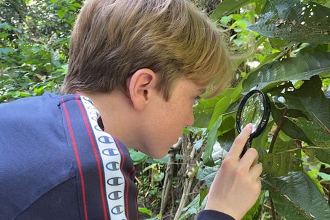 Let's Go Buggin & Let's Go Shroomin - Photography & Nature Walking Tours - Hervey Bay Accommodation 3