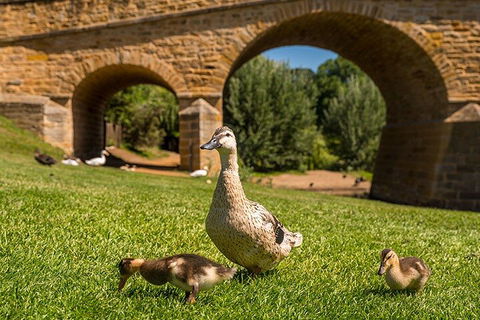 Richmond Historic Afternoon Tour From Hobart - Hervey Bay Accommodation 1