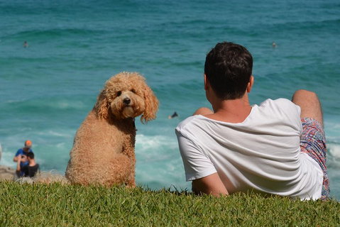 See Sydney With A Local: Private & Personalized - Tourism Hervey Bay 5