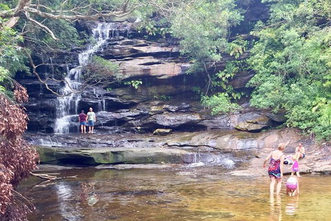 Central Coast Private Tour From Sydney, With Australian Reptile Park Option - Hervey Bay Accommodation 0