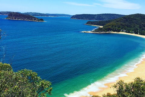Central Coast Private Tour From Sydney, With Australian Reptile Park Option - Hervey Bay Accommodation 5