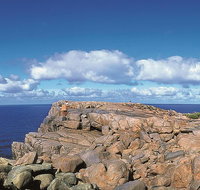 4 Day Tour Albany Margaret River Valley of the Giants TreeTop Walk from Perth - Hervey Bay Accommodation