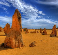 Pinnacles Desert  New Norcia Day Tour from Perth - Hervey Bay Accommodation