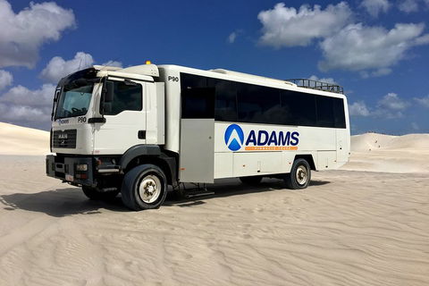 Pinnacles Desert, Koalas And Sandboarding 4WD Day Tour From Perth - Tourism Hervey Bay 2