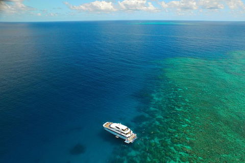 Great Barrier Reef Snorkeling And Diving Cruise From Cairns - Tourism Hervey Bay 4