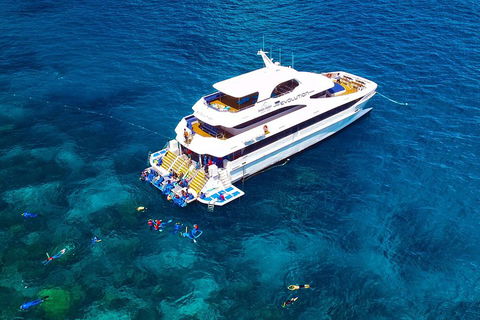 Great Barrier Reef Snorkeling And Diving Cruise From Cairns - Tourism Hervey Bay 5