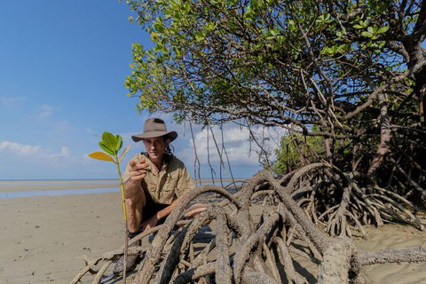 Full Day Cooktown Private Tour - Hervey Bay Accommodation 2