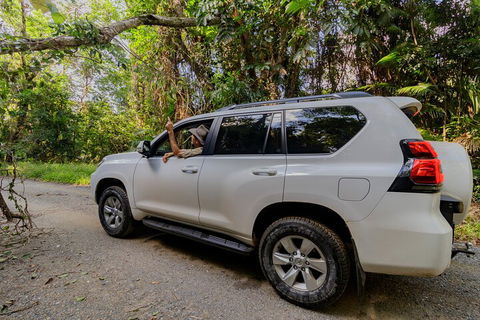 Full Day Cooktown Private Tour - Hervey Bay Accommodation 3