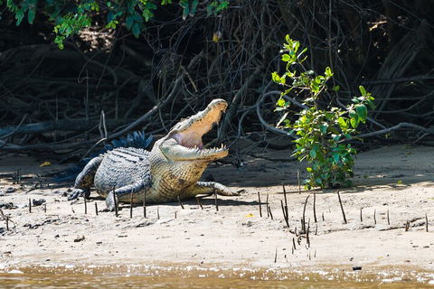 Full Day Cooktown Private Tour - Hervey Bay Accommodation 4