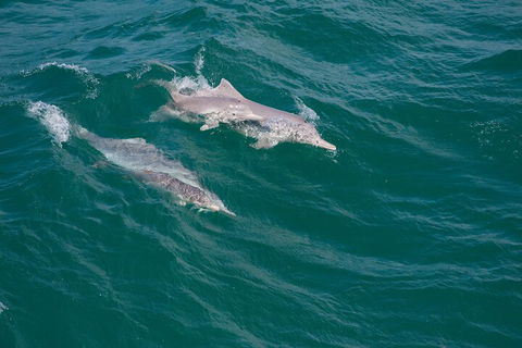 North Stradbroke Island Private Tour With Pickup - Hervey Bay Accommodation 0