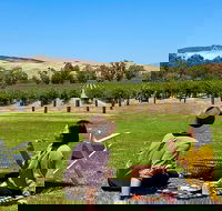 Private Picnic and Wine Tasting Experience in Barossa Valley - Hervey Bay Accommodation