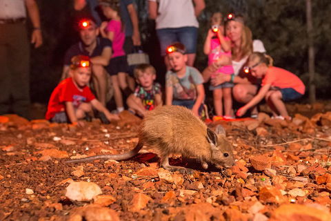 Alice Springs Desert Park Nocturnal Tour - Tourism Hervey Bay 1