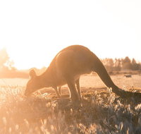 Small Group Mornington Peninsula Hike and Hot Springs Day Tour from Melbourne - Hervey Bay Accommodation
