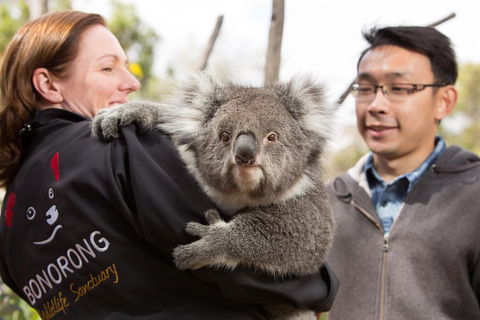 Bonorong Wildlife Park And Richmond Afternoon Tour From Hobart - Hervey Bay Accommodation 0