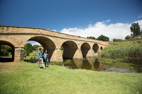 Bonorong Wildlife Park And Richmond Afternoon Tour From Hobart - Hervey Bay Accommodation 2