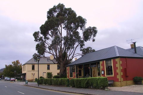 Bonorong Wildlife Park And Richmond Afternoon Tour From Hobart - Hervey Bay Accommodation 3