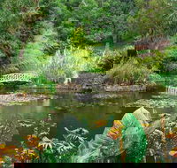 Hobart Half-Day Sightseeing Coach Tram Tour - Tourism Hervey Bay