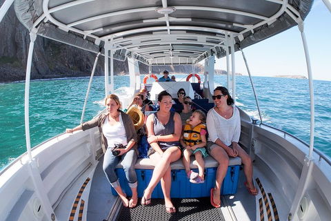 Seal Island Boat Tour From Victor Harbor - Hervey Bay Accommodation 1