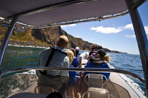Seal Island Boat Tour From Victor Harbor - Hervey Bay Accommodation 2