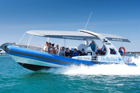 Seal Island Boat Tour From Victor Harbor - Hervey Bay Accommodation 3