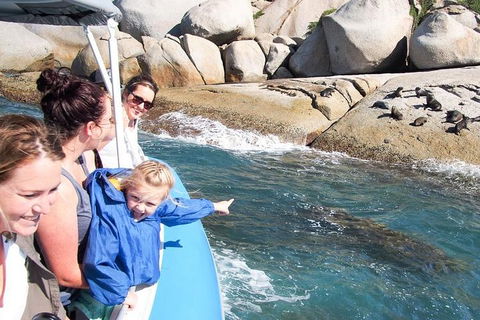 Seal Island Boat Tour From Victor Harbor - Hervey Bay Accommodation 4