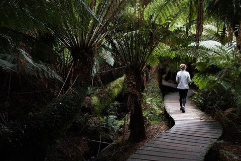 Private Tour Of Melbourne - Tourism Hervey Bay 2