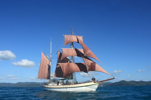 Sydney Harbour Tall Ship Whale & Sail - Whale Watching Cruise - Tourism Hervey Bay 1