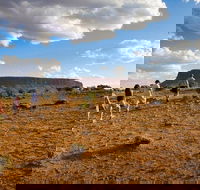 Mount Conner 4WD Small Group Tour from Ayers Rock including Dinner - Hervey Bay Accommodation