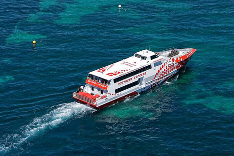 Discover Rottnest With Ferry & Bus Tour From Perth Or Fremantle - Hervey Bay Accommodation 3