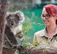 Small-Group Phillip Island Penguin Parade Day Tour from Melbourne - Hervey Bay Accommodation