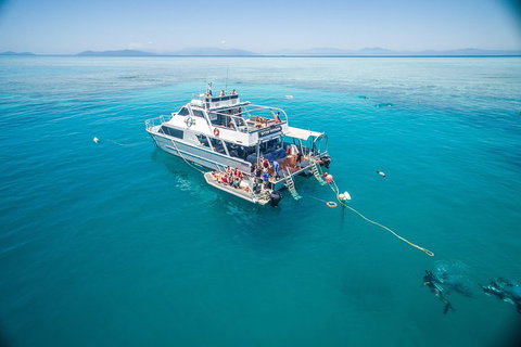 Ocean Freedom Great Barrier Reef Personal Luxury Snorkel & Dive Cruise, Cairns - Hervey Bay Accommodation 0
