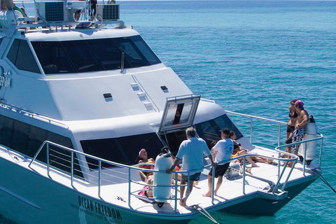 Ocean Freedom Great Barrier Reef Personal Luxury Snorkel & Dive Cruise, Cairns - Hervey Bay Accommodation 1