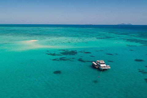 Ocean Freedom Great Barrier Reef Personal Luxury Snorkel & Dive Cruise, Cairns - Hervey Bay Accommodation 2