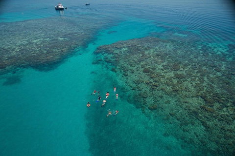 Ocean Freedom Great Barrier Reef Personal Luxury Snorkel & Dive Cruise, Cairns - Hervey Bay Accommodation 3