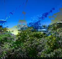 Classic Kuranda by Skyrail and Scenic Railway Including Rainforestation Koala and Wildlife Park and Pamagirri Aboriginal Experi - Hervey Bay Accommodation